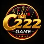 C222 Game
